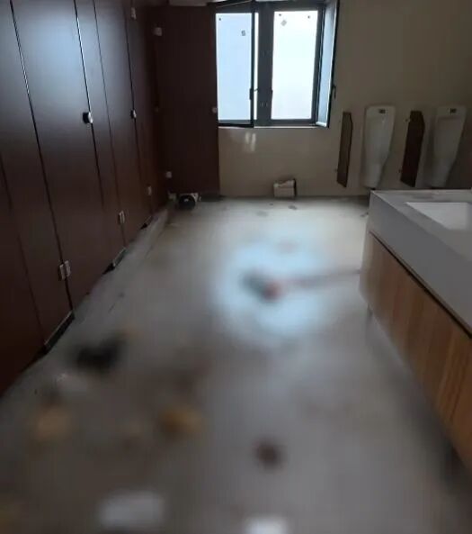 游客拍公园公厕满地大小便视频被围堵 两次报警才脱身