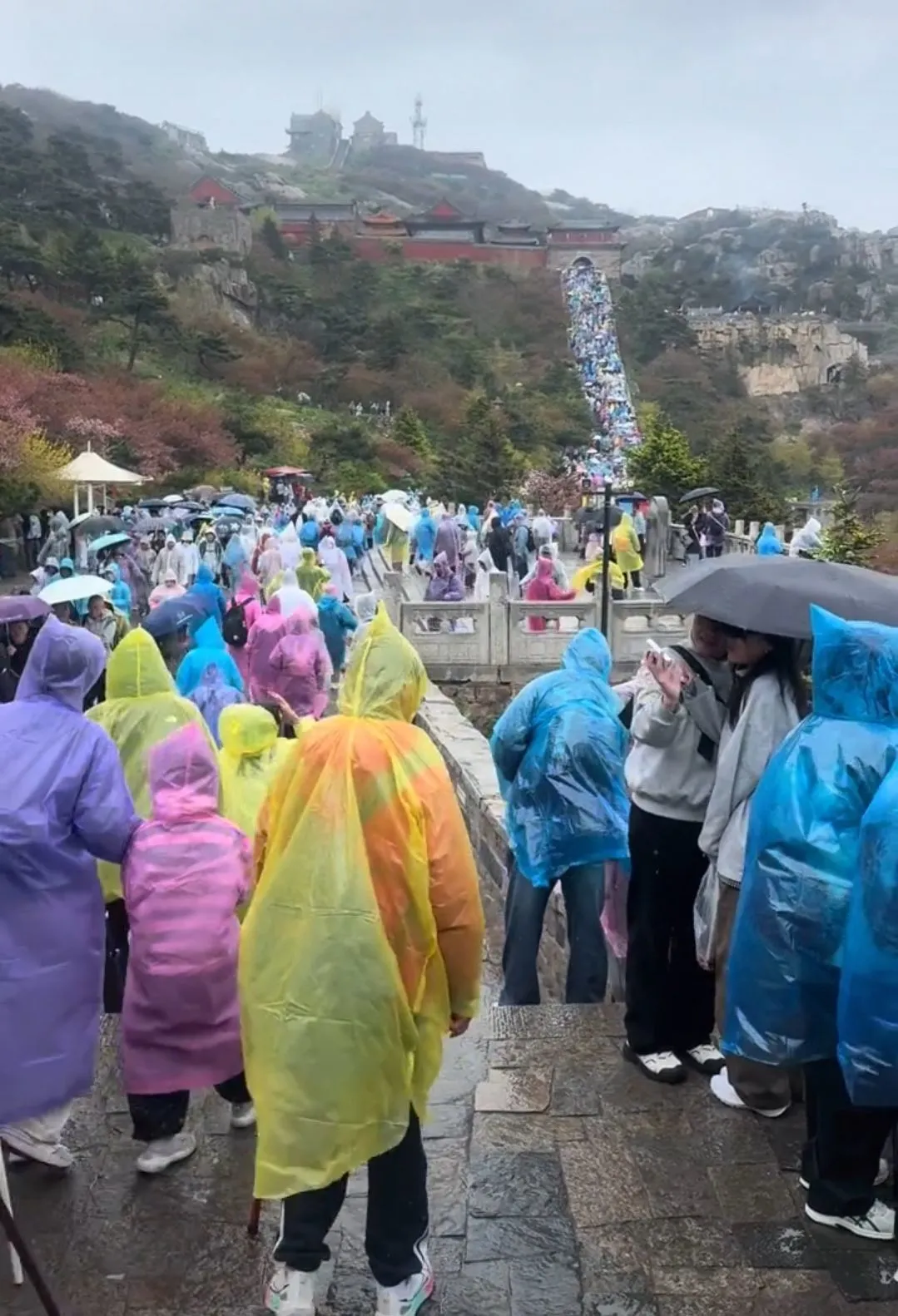 游客夜爬泰山突遇降雨大风，厕所挤满人